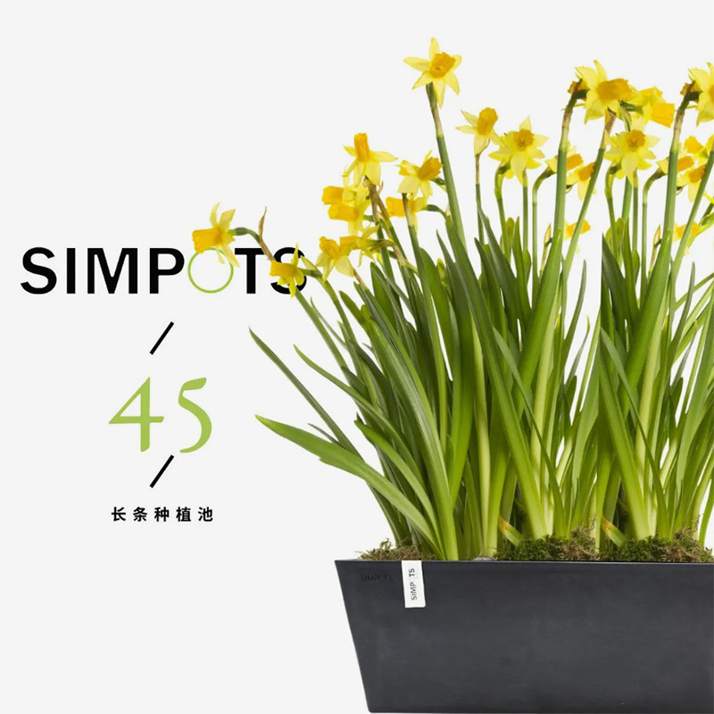 长条盆混合植物蔬菜种植户外可用