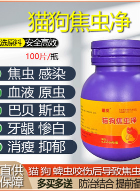 猫狗焦虫净血虫病黄疸尿血嗜睡