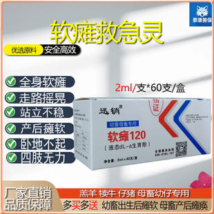 仔猪软瘫灵小羊羔摇晃站立不稳四肢无力刚出生猪羊瘫痪犊牛软骨素