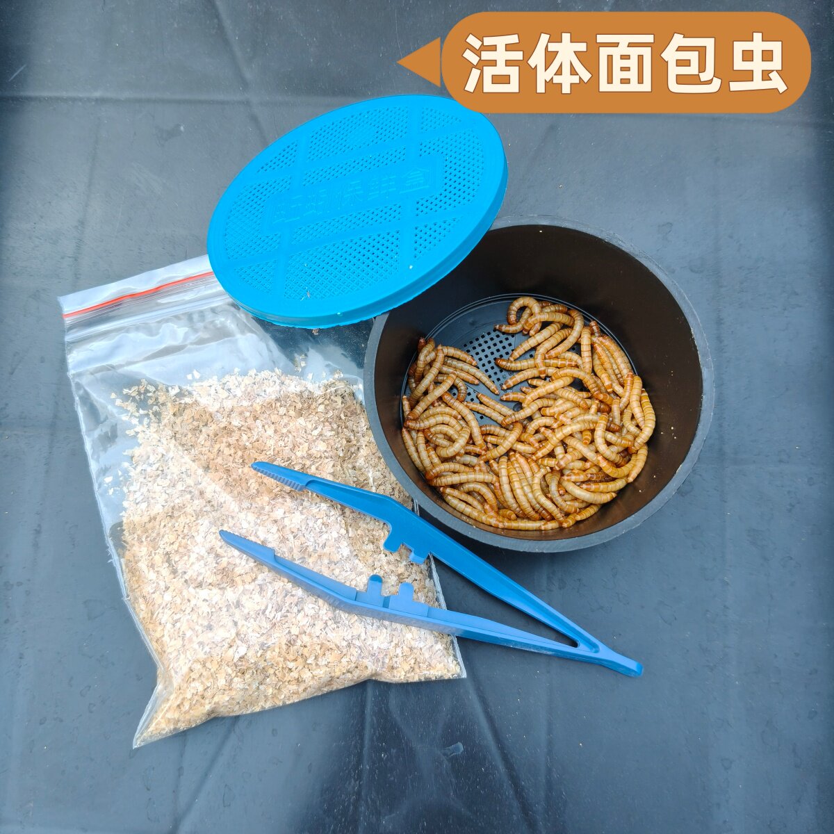 面包虫黄粉虫活体幼虫爬虫盒装鸟乌龟龙鱼蜘蛛守宫蝎子石蛙饲料