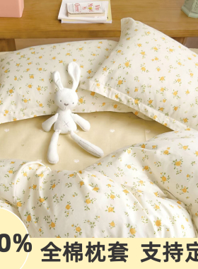 定做纯棉枕套学生宿舍枕头套3050儿童全棉枕芯套4060双人4874单只