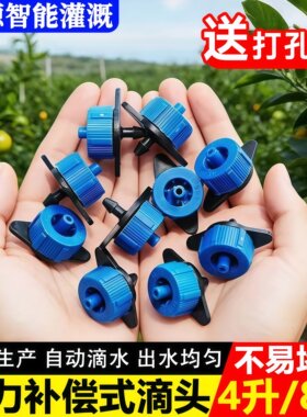 滴灌压力补偿式滴头2/4/8/10/16L农用稳流器微喷头滴管果树滴灌头
