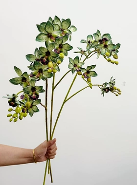 花饰界千鸟兰仿真花软胶假花石斛兰小蕙兰婚庆插花艺家居装饰