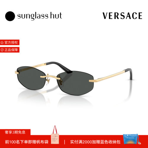 Versace范思哲秋冬新品太阳镜女款不规则形墨镜0VE2308D