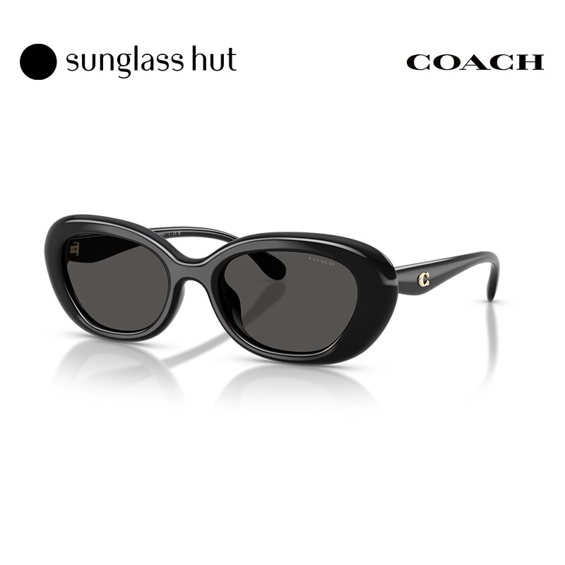 COACH/蔻驰【2026春夏新品】太阳镜女款墨镜椭圆形眼镜0HC8448U