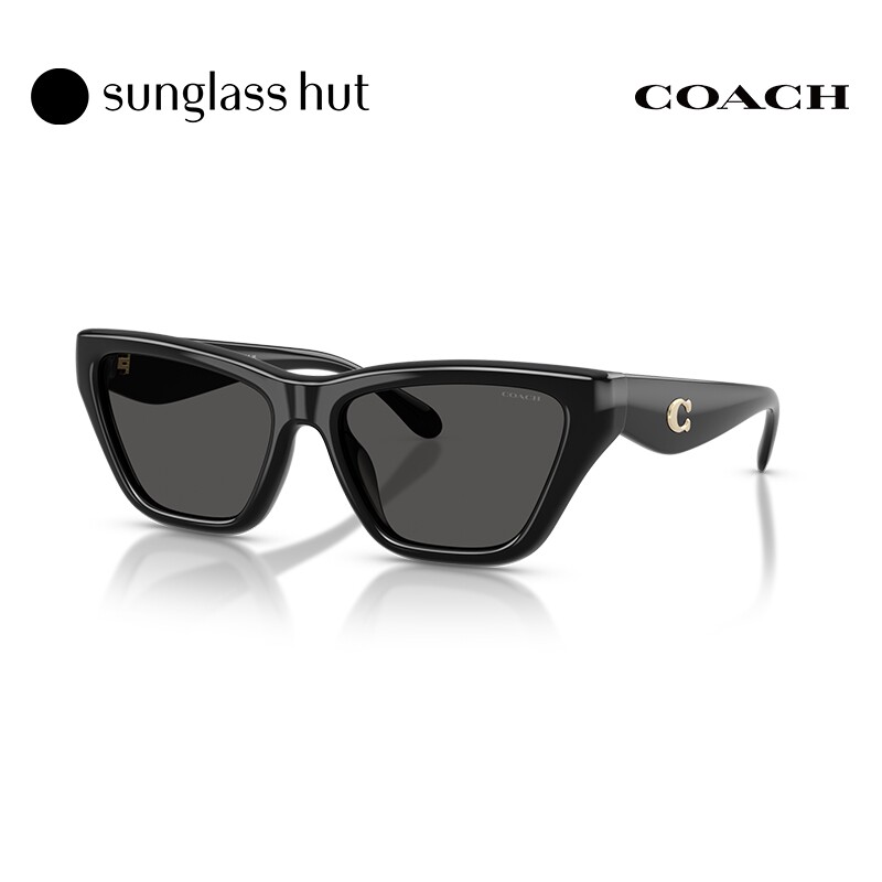 COACH/蔻驰【2026春夏新品】太阳镜女款墨镜猫眼形眼镜0HC8449U