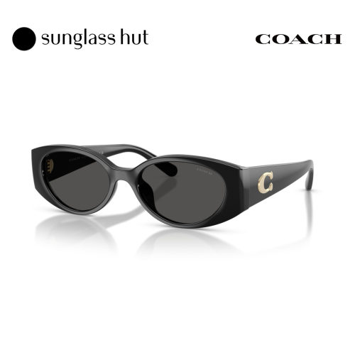 Coach蔻驰秋冬新品太阳镜女款椭圆形墨镜0HC8462U