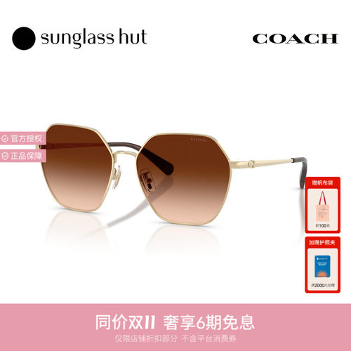 Coach蔻驰秋冬新品太阳镜女款不规则形墨镜0HC7194