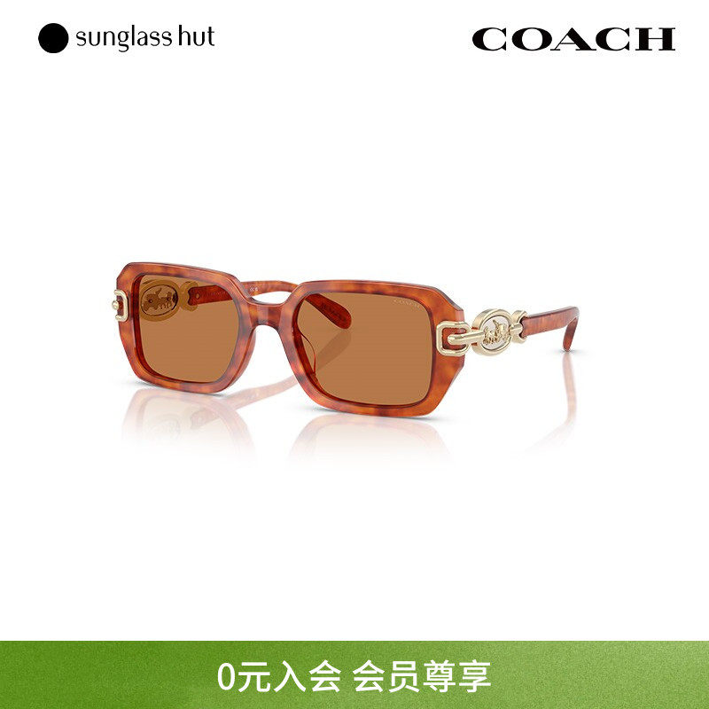 COACH蔻驰太阳镜女款墨镜长方形遮阳眼镜0HC8425U