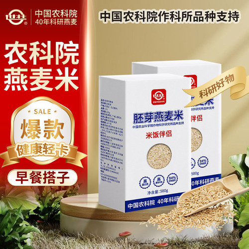 中国农科院作科所燕麦米五谷杂粮煮粥脱壳燕麦粒粗米燕麦饭类