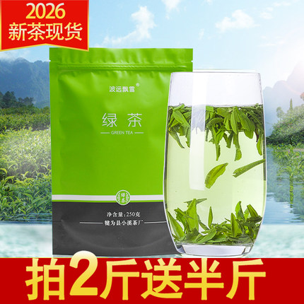 清香耐泡雨前茶2026新茶现货产地直发大片雀舌碎茶片散装