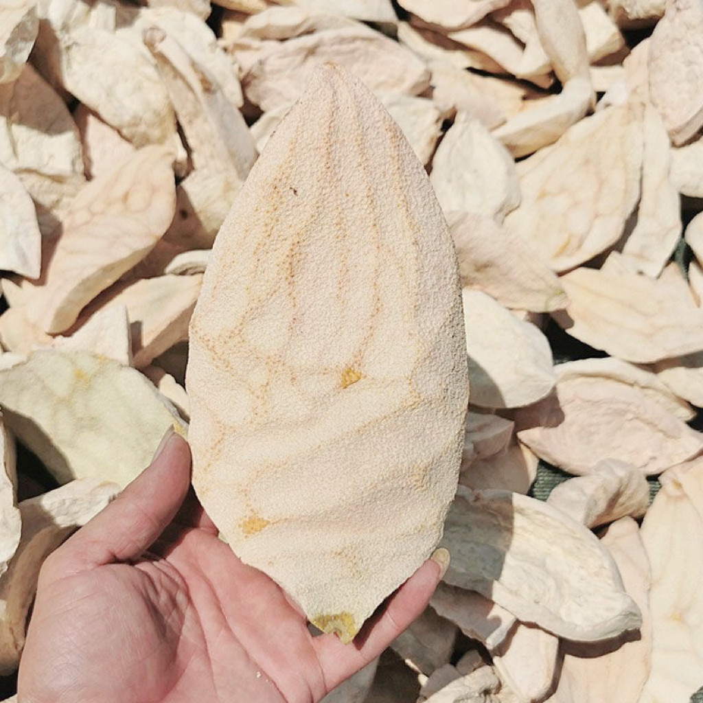 江西特产去皮柚子皮农家自制晒干土柚子皮干泡茶炒柚子皮腌柚子皮