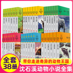 第七条猎狗 珍藏10 狼王梦 斑羚飞渡 15岁小学生课外书 雪豹悲歌 全集38册沈石溪动物小说品藏书系列 包邮 最后一头战象