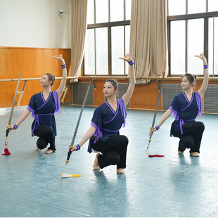 甘甘家北舞同款剑舞表演服扇舞练功服专业短袖身韵纱衣成人古典舞