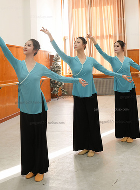 北舞同款专业古典舞巡礼身韵纱衣舞蹈服徒手基训剑舞练功服表演服