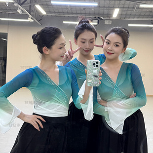 古典舞修身练功服身韵纱衣基训舞蹈服长袖罩衫上衣形体服团服成人