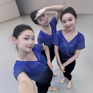 练功服班服女新款 古典舞纱衣北舞同款 专业舞蹈衣基训民族身韵短袖
