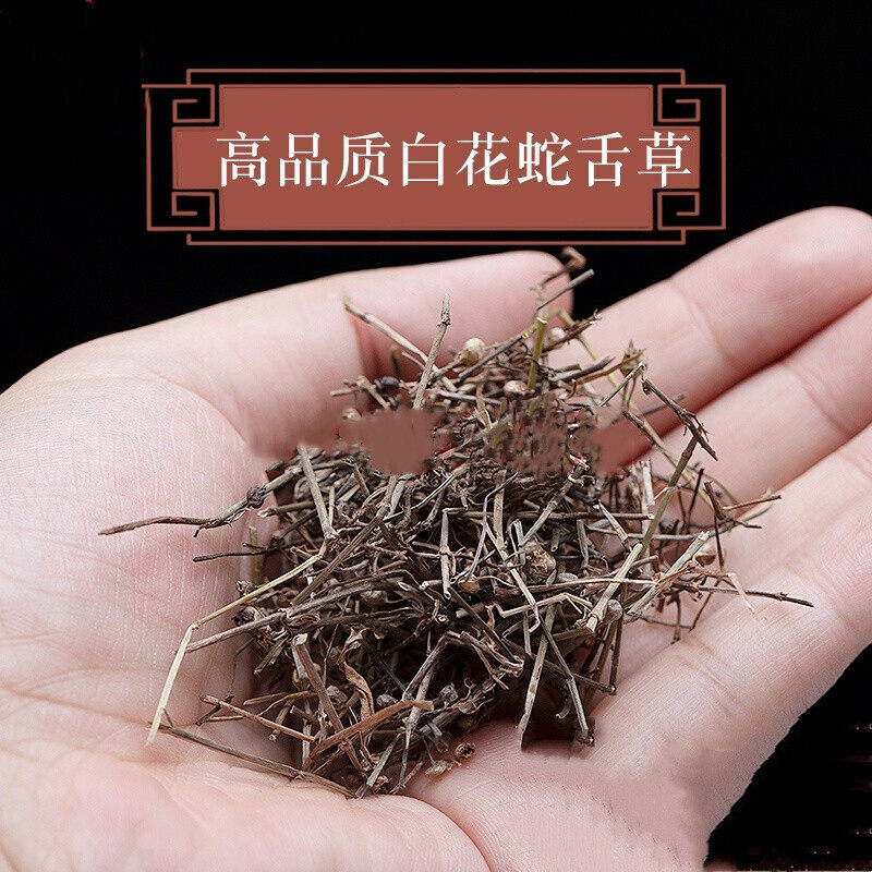 白花蛇舌草500g包邮 天然野生蛇舌草羊须草 可搭半枝莲煮水