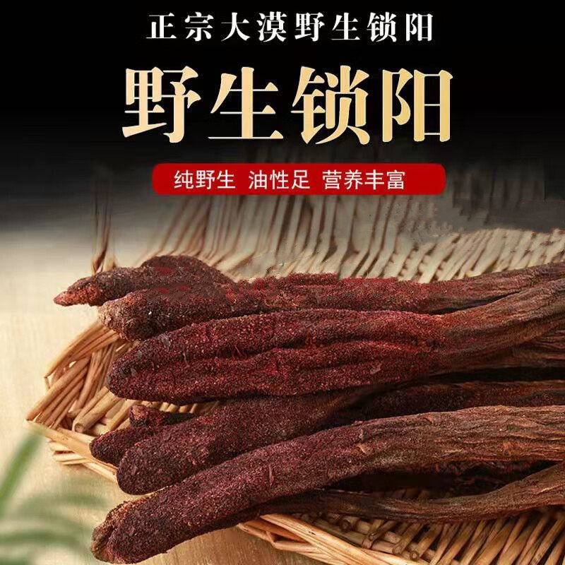 中药材 锁阳个 金锁阳500g包邮锁阳片打粉可搭肉苁蓉蛇床子泡酒