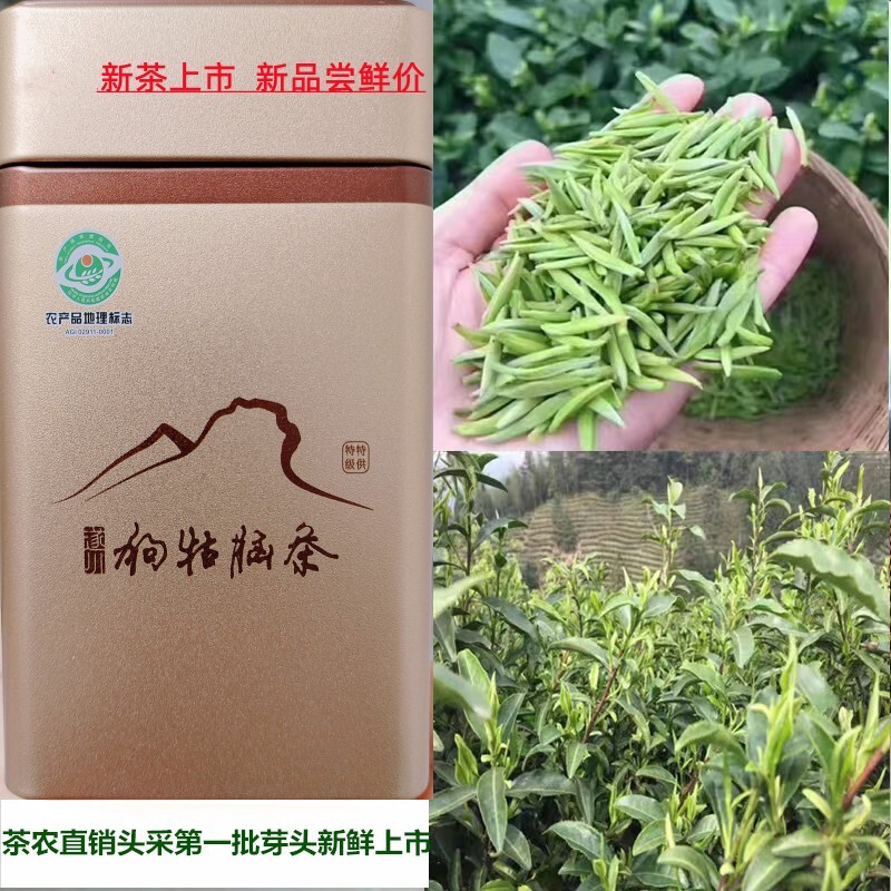 2026新茶上市遂川狗牯脑茶叶头采明前高山茶芽尖鲜爽回甘250g盒装