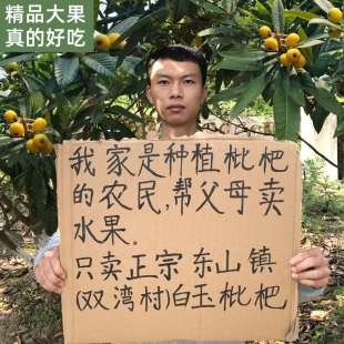 超甜正宗苏州东山白玉枇杷新鲜大果白沙冠玉琵琶应季孕妇水果礼盒