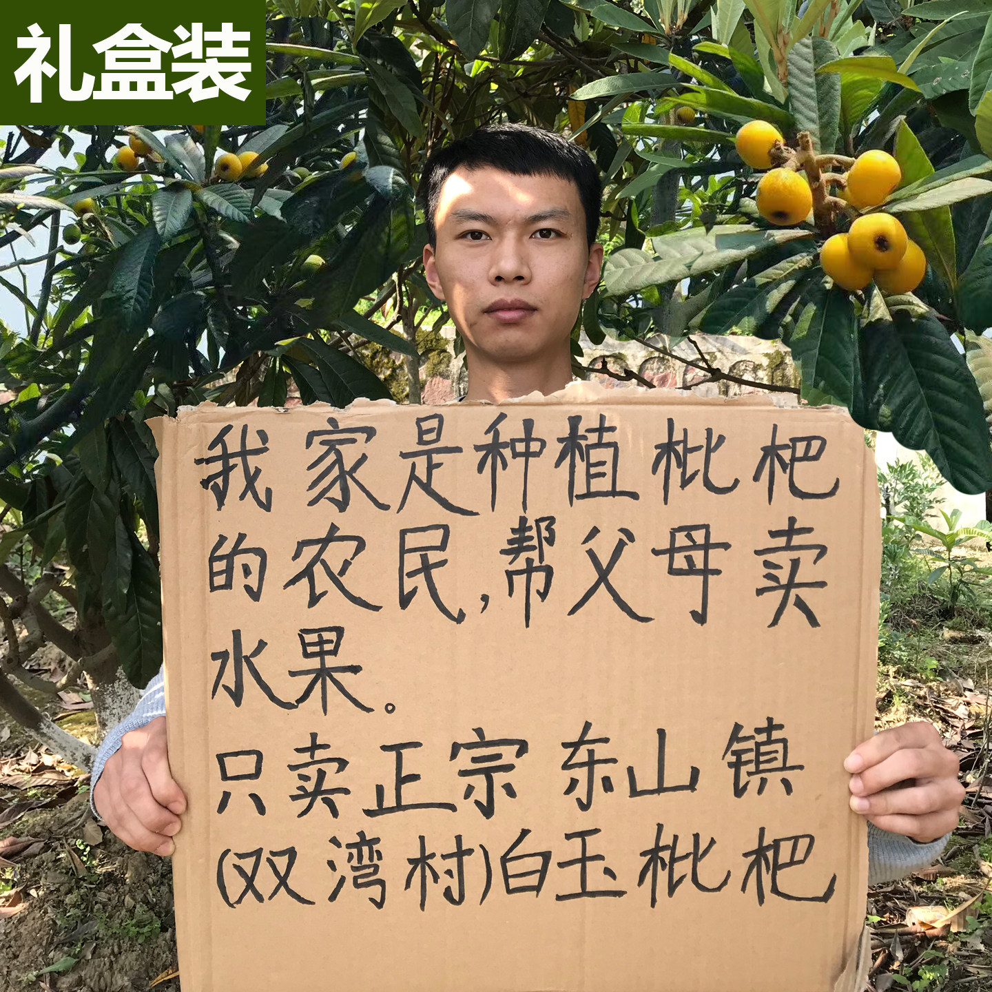 超甜正宗苏州东山白玉枇杷鲜果大果白沙新鲜冠玉琵琶水果5斤礼盒