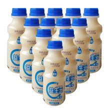 荷润益生元 乳酸菌整箱风味牛奶饮品340mlx12瓶儿童饮料学生酸奶