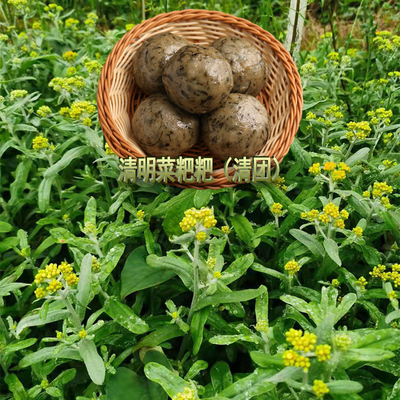 达州青明菜新鲜清明草粑粑水牛花鼠曲草糍粑腊肉红糖原味现做青团