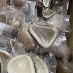 大椰皇切半真空无坏果印度椰子海椰王椰子肉煲鸡汤火锅老椰子切片