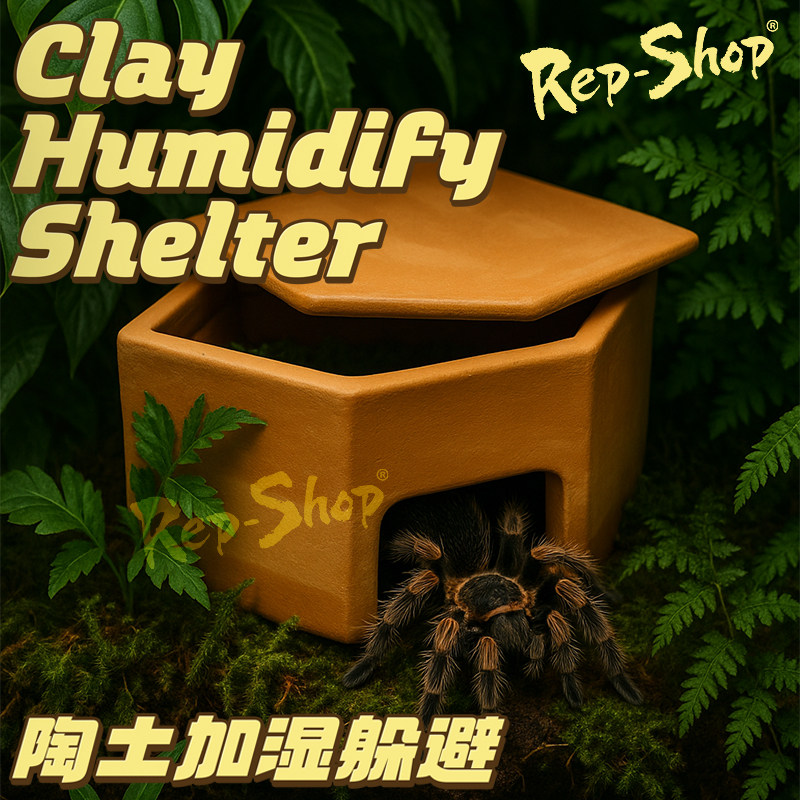 守宫陶瓷加湿躲避爬虫蜥蜴蛇蜘蛛小型爬宠窝蜕皮阴凉陶土保湿洞穴,宠物/宠物食品及用品,爬宠躲避/造景,淘宝优惠券,粉丝福利购,淘宝优惠卷