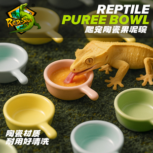 睫角果泥食盆爬宠果泥拌碗R属守宫巨人盖勾亚喂食勺爬虫凝胶盘