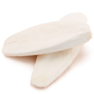 陆龟墨鱼骨鹦鹉乌龟爬宠磨牙辐射陆龟磨喙乌贼骨D3补钙粉