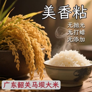 广东韶关马坝大米美香粘无抛光无打蜡无添加农家优质大米5KG