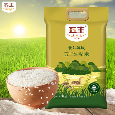 华润五丰油粘米5kg煲仔饭大米