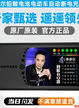 电动车电瓶充电器60V72V20Ah32Ah40Ah45Ah50Ah52Ah58Ah三轮车通用