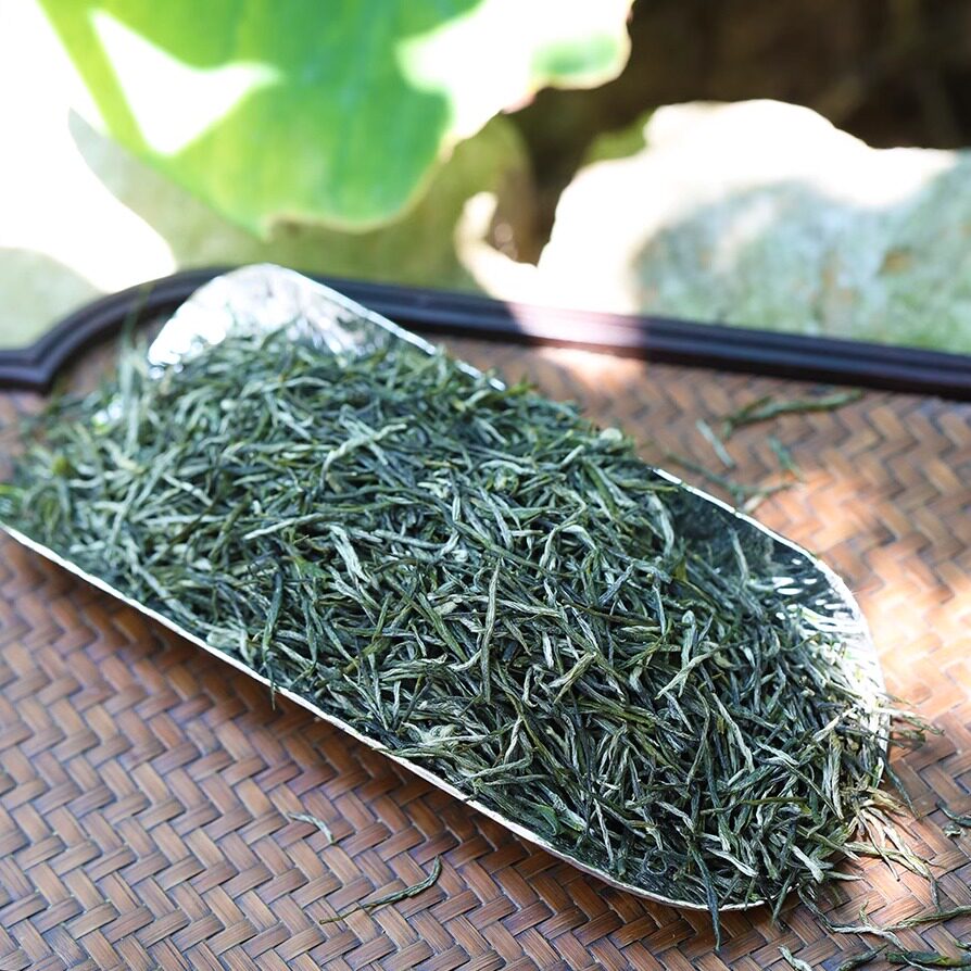 2026新茶明前芽毛尖春茶