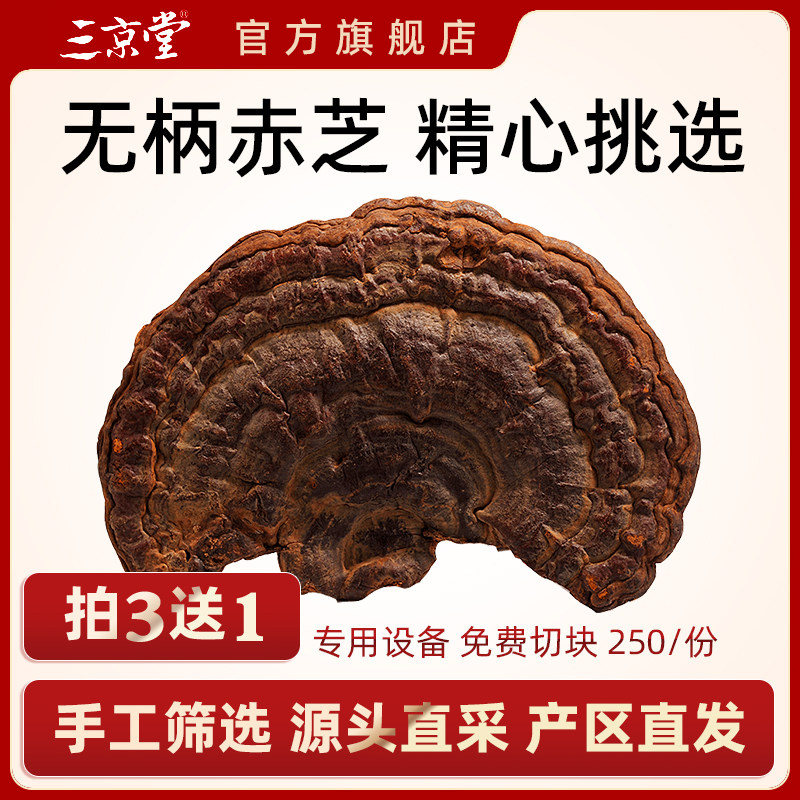 三京堂灵芝片无柄赤芝 枝赤灵芝深山林芝切片野外生长250g买3送1