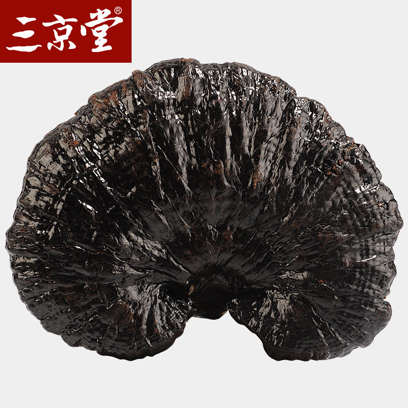三京堂长白山黑灵芝整枝紫灵芝可切片深山林芝紫赤灵芝250g