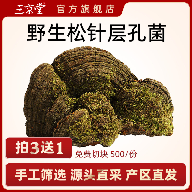 买3送1三京堂松针层孔菌长白山灵芝松树桑黄松木孔菌500g