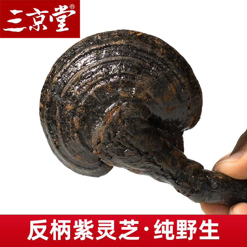 三京堂东北紫灵芝林芝整枝长白山黑灵芝切片野外生长500g买3送1