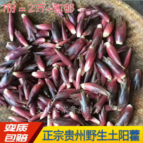恩施阳荷茗荷姜阳藿山姜观音花野生姜莲花姜湖北恩施 小麦优选