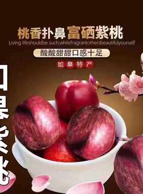 【新鲜水果】如皋新官紫桃红心血桃离核油桃多汁特产水果可口酸甜