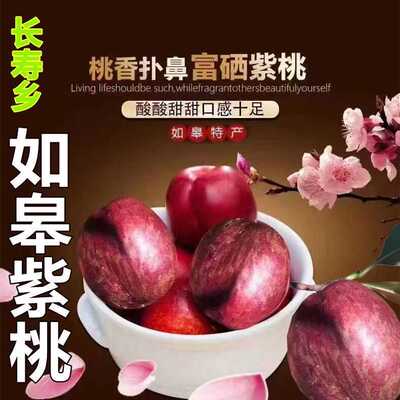 【新鲜水果】如皋新官紫桃红心血桃离核油桃多汁特产水果可口酸甜