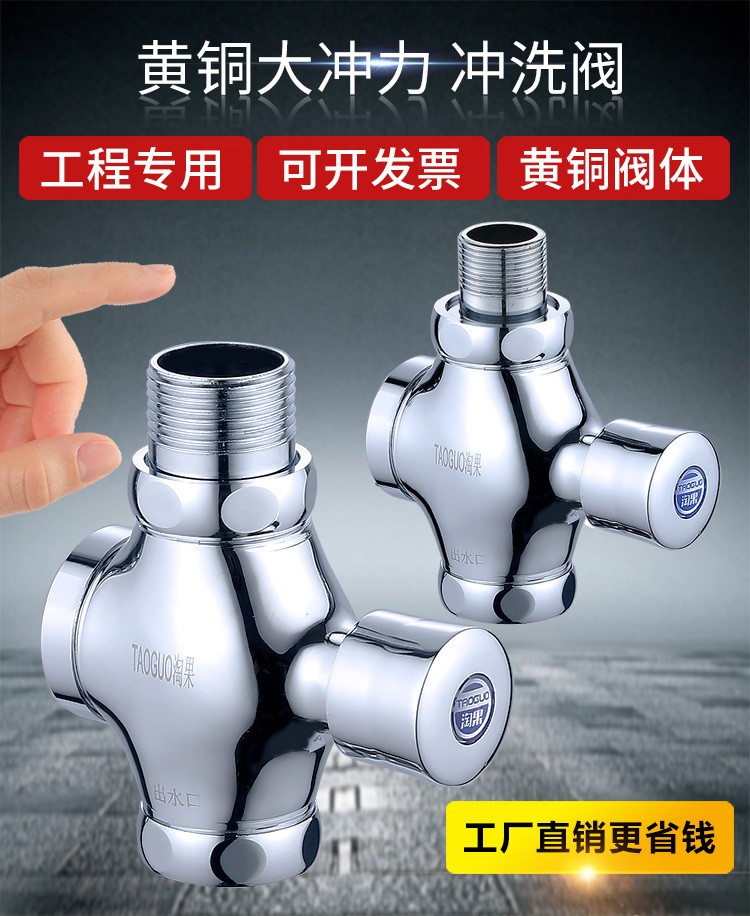 蹲便器冲水阀手按式厕所卫生间大便器便池按压延时阀门冲洗阀开关