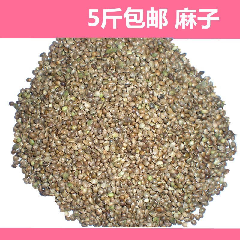 鸚鵡倉鼠糧倉鼠糧食谷物最愛-麻子500克