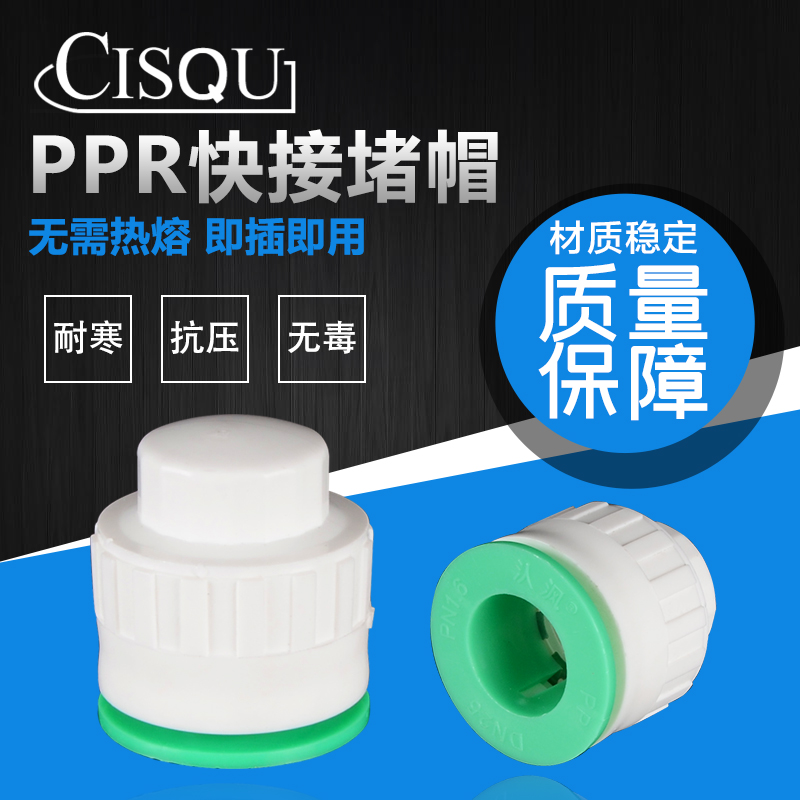 家用ppr免热6分1寸配件堵头