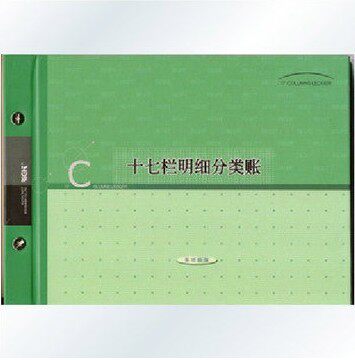 莱特6117栏明细分类账账本十七