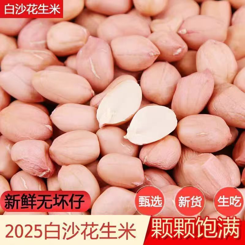 5斤新花生米大袋正宗现3斤无壳粉皮新鲜大粒白沙花生米生批发