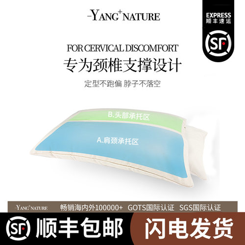 成人学生分区定型支撑荞麦壳枕头