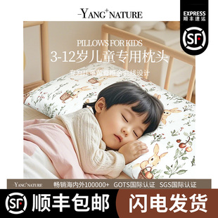 通用 6岁以上宝宝荞麦枕幼儿园小学生夏四季 氧家a儿童专用枕头1